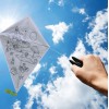 Colouring Butterfly Kite