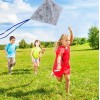 Colouring Butterfly Kite