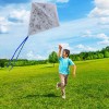 Colouring Butterfly Kite