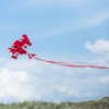 Red Baron 3D