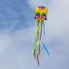 Rainbow Octopus drage