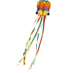 Rainbow Octopus drage