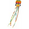 Rainbow Octopus drage