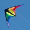 Power Hawk Rainbow