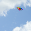 Power Hawk Rainbow
