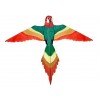 Parrot Rainbow