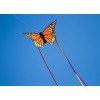 Butterfly Monarch L