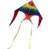Rainbow fish Kite