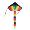 Rainbow long tailed Kite